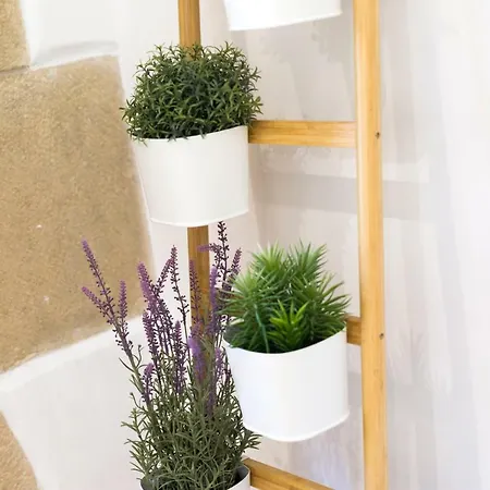 Apartment Nagusi By Smiling